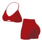 Red 2-Piece Sports Bra & High Waist Shorts Set