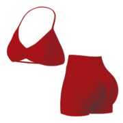 Red 2-Piece Sports Bra & High Waist Shorts Set